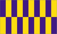County Durham Flag